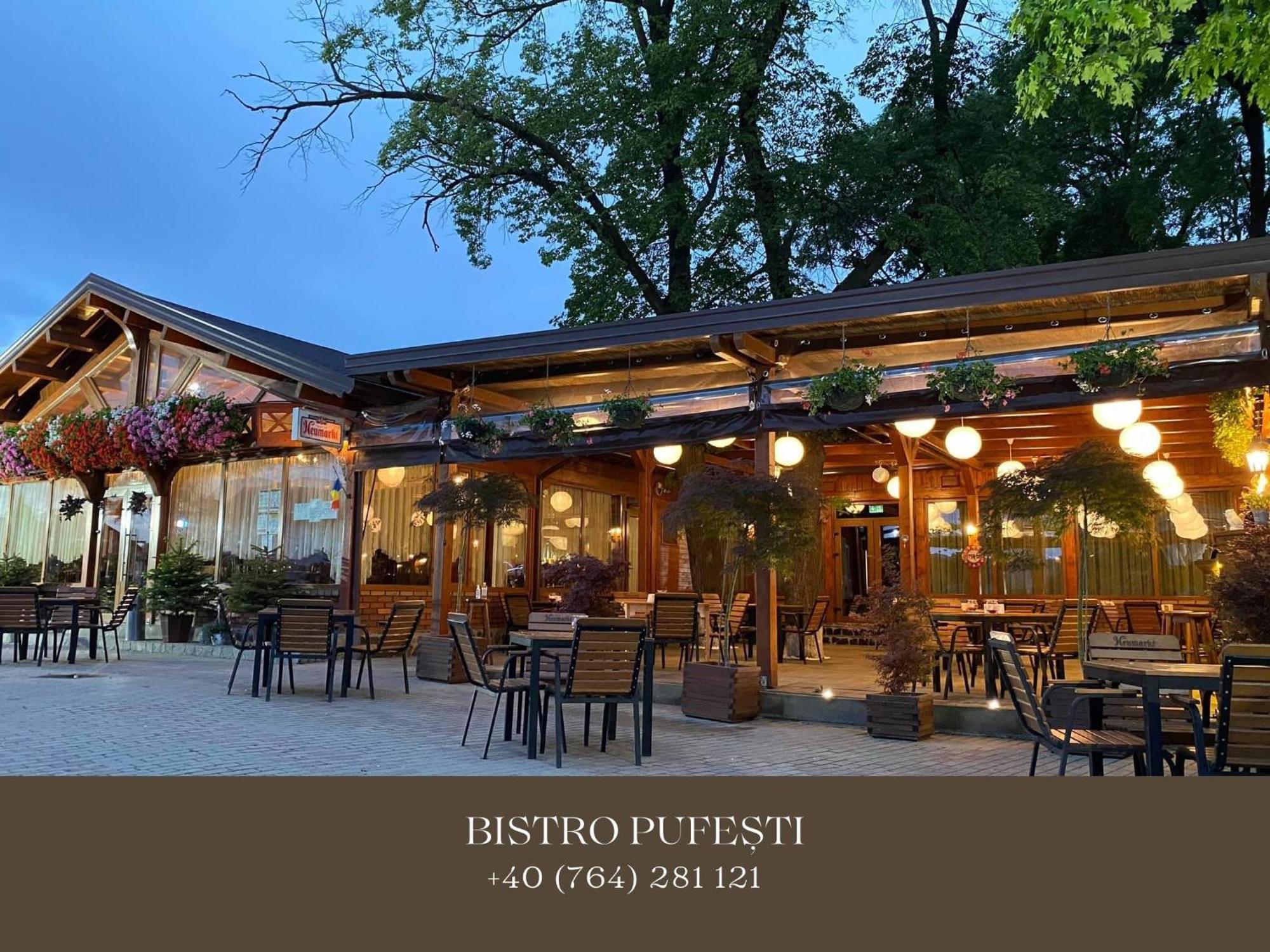 Cosy Apartments & Bistro Pufesti Kültér fotó
